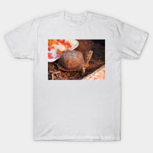 Pampered Turtle T-Shirt